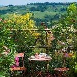 Le Rose Di Montagnana