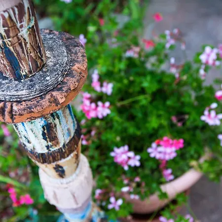 Le Rose Di Montagnana Сasa de vacaciones *