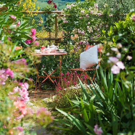 Le Rose Di Montagnana *