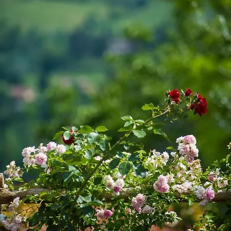 Le Rose Di Montagnana Сasa de vacaciones