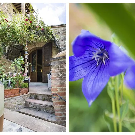 Casa de Férias Le Rose Di Montagnana